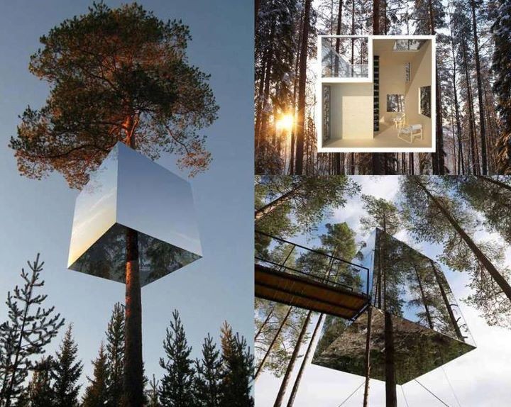 Референс. Mirror cube on tree