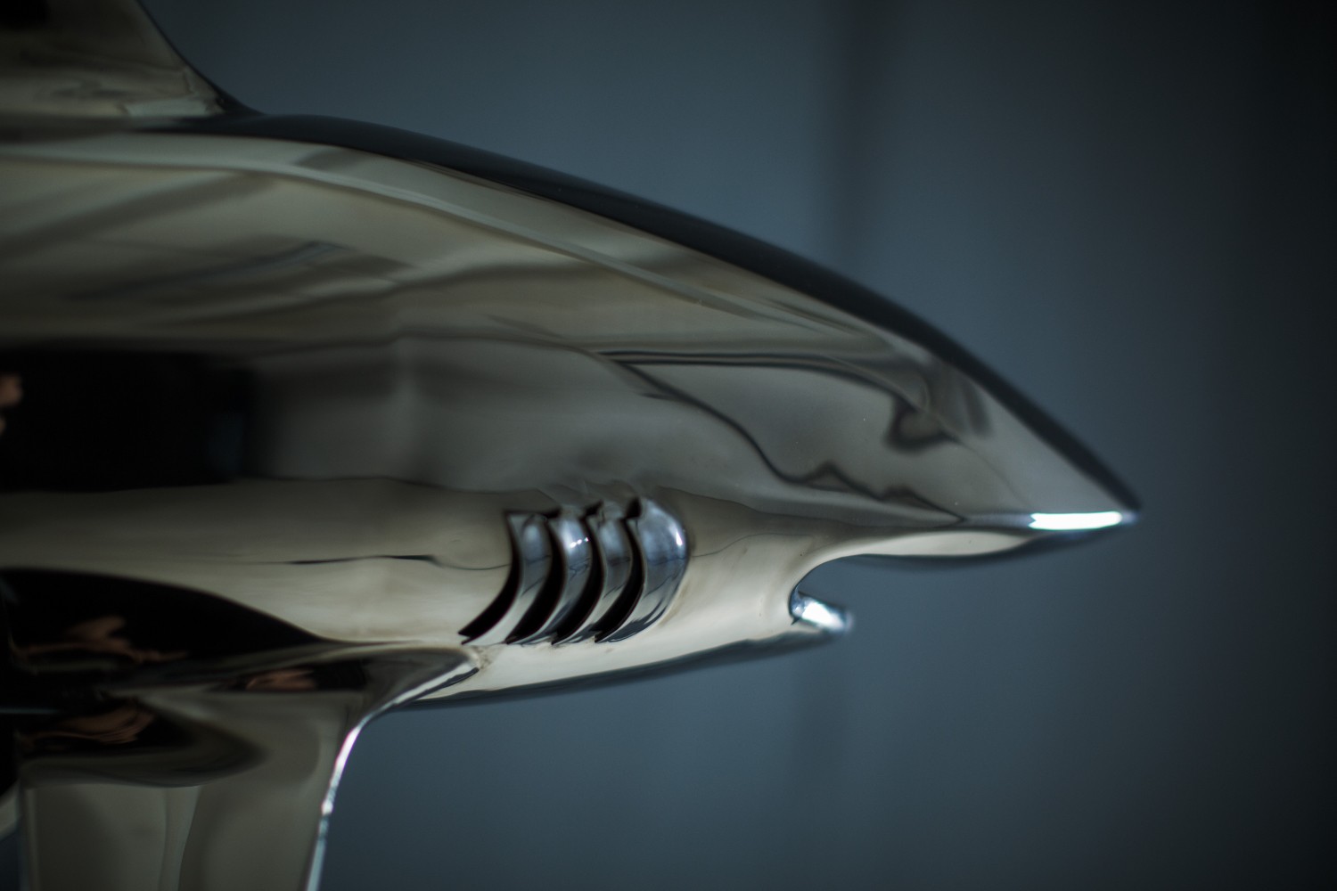 Скульптура акулы