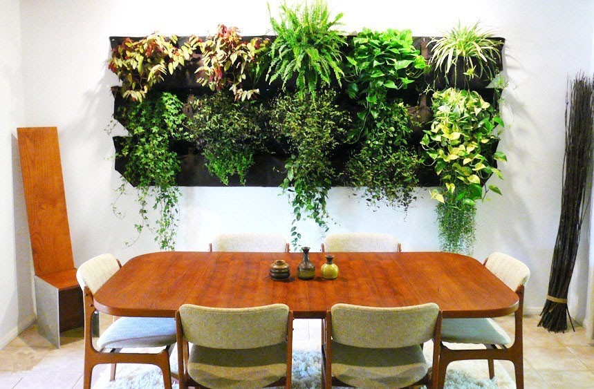 Зеленая стена или вертикальное озеленение в интерьере